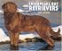 Chesapeake Bay Retrievers 2008 Calendar