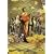 �剜 �X�^���_�[�h�E�G�f�B�V���� [DVD]