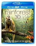 Rainforest 3D