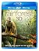 Rainforest 3D