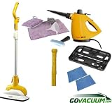 Haan FS-20 & HS-20 Deluxe Total Home Steam Cleaning Package