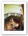 Quixotic II by Ivan Reyes 23.625"x31.25" Art Print Poster