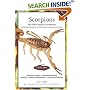 Scorpions (Herpetocultural Library)