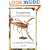 Scorpions: Plus Other Popular Invertebrates (Herpetocultural Library, The)