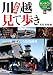 小江戸川越見て歩き (見て歩きシリーズNEW8)