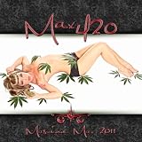 Max420 Calendar 2011