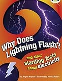 Why does lightning flash? : and other startling facts about electricity