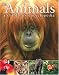 Animals a Children's Encyclopedia (Visual Encyclopedia)