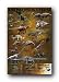 DINOSAURS OF TRIASSIC JURASSIC CRETACEOUS POSTER ST4654
