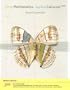 Finite Math and Applied Calculus, Enhanced Review Edition