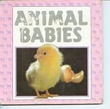 Animal Babies - Board Book