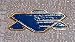 Babylon 5 EARTH ALLIANCE Full Size Chest Insignia PIN