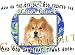 Chow Chow RED Mouse Pad Dog Mousepad Creation