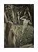 Adam Tempted by Eve by James Tissot poster print,19.1 in. x 26 in.