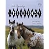 The Legendary Appaloosa