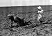 Beet-Picker and Her Sister, Near Ordway, Colorado, 1915 - 16x20 Photographic Print from the Library of Congress Collection