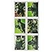 Search : Incredible Hulk Sticker Sheets (4) Party Supplies