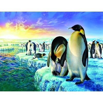 Penguins (14) 1000+pc Jigsaw Puzzle by Adrian Chesterman