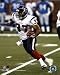 Domanick Davis - 04 Running, Domanick Davis Wall Photograph, 8x10
