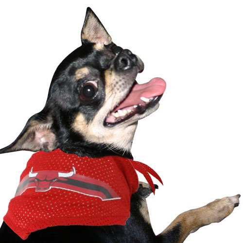 Chicago Bulls Red Mesh Small Pet Bandana (Small/Medium)