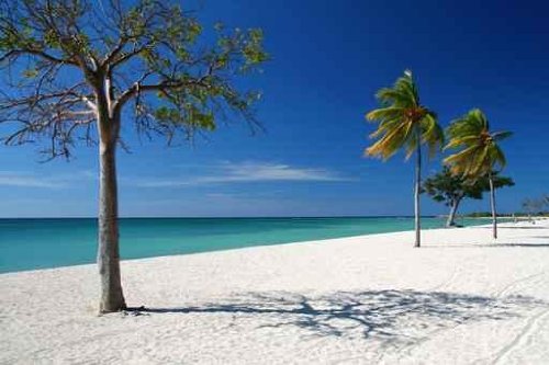 Caribic Selection Cuba Ii - 36"W x 24"H - Peel and Stick Wall Decal by Wallmonkeys