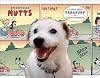 Everyday Mutts: A Comic Strip Treasury