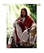 Jesus with Animals Silk Reflections Garden Size Flag