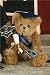 2010 Smarty Bearington Graduation Bear