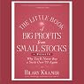 The Little Book of Big Profits from Small Stocks + Website: Why You'll Never Buy a Stock Over $10 Again (Little Books. Big Profits)
