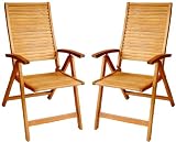LuuNguyen - Logan 5 Positions Reclining Folding Arm Chair Hardwood Outdoor Furniture (Natural Wood Finish), Set of 2
