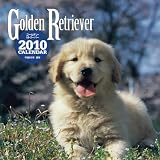ゴールデン・リトリーバーCALENDAR 2010