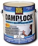 Damplock Concrete Waterproofing Paint 1-Gallon