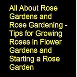 Amazon: All About Rose Gardens and Rose Gardening - Tips for Growing Roses in Flower Gardens and Starting a Rose Garden (Rose White)