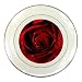 Porcelain Plate of Beautiful Dark Red Rose (Perfect Rose, Flowers)