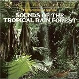 Sounds Of The Tropical Rain Forest