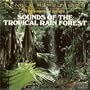 Sounds Of The Tropical Rain Forest