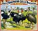 Birds of the World Cicus Poster - Beautiful Photographic Print from the Library of Congress Collection