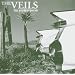 un petit peu de musique