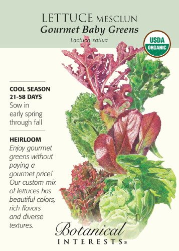 Lettuce Baby Mesclun Gourmet Certified Organic Heirloom Seeds 1200 Seeds