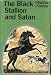 Search : The Black Stallion and Satan (F-5)
