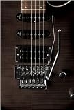 Washburn RX Series RX25FBSB Electric Guitar