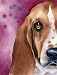Basset Hound Dog Art Print Signed by Artist DJ Rogers