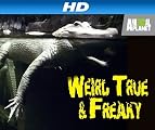 Weird True and Freaky [HD]: Medical Mysteries [HD]