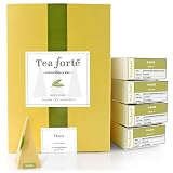 Tea Forte Event Box - 48 Silken Pyramid Infusers - Oasis