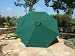 Replacement umbrella canopy for 11ft 8 ribs , Green (Canopy only)