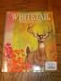 Whitetail