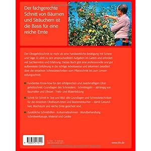 Der Obstgehölzschnitt: Professioneller Schnitt für Obstgehölze & Beerensträucher