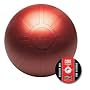 GoFit 55cm Professional Stability Ball