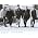 Thumbnail image of The Beach Boys