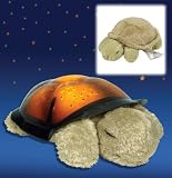 Cloud B Twilight Constellation Night Light Turtle With Small Plush Rattle